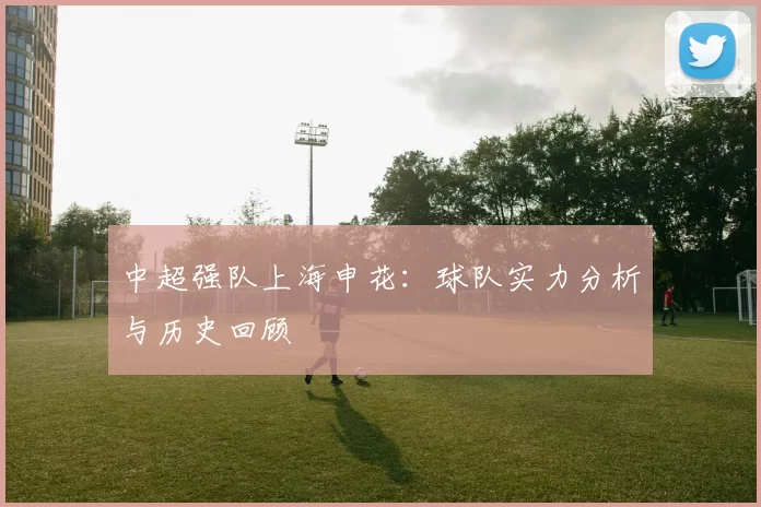中超强队上海申花：球队实力分析与历史回顾