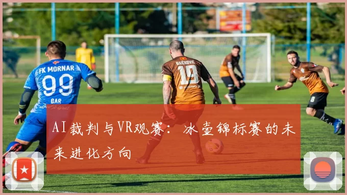 AI裁判与VR观赛：冰壶锦标赛的未来进化方向