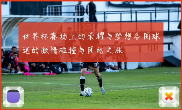 世界杯赛场上的荣耀与梦想各国球迷的激情碰撞与团结之旅
