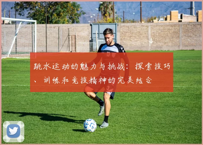 跳水运动的魅力与挑战：探索技巧、训练和竞技精神的完美结合