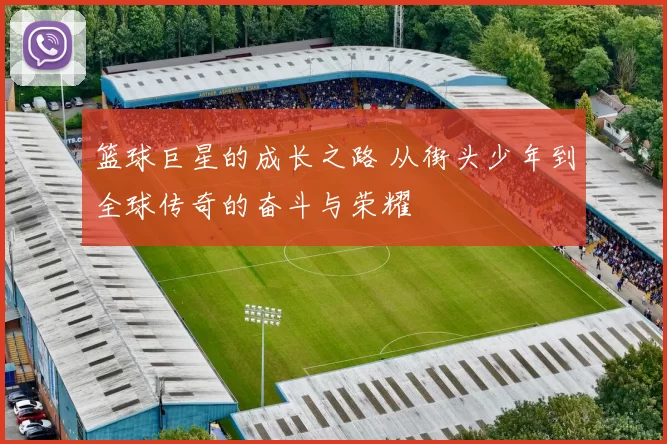 篮球巨星的成长之路 从街头少年到全球传奇的奋斗与荣耀