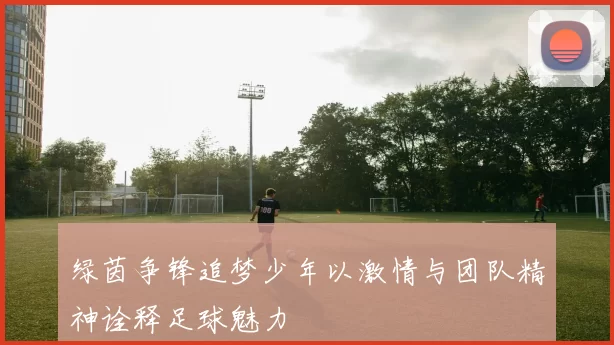 绿茵争锋追梦少年以激情与团队精神诠释足球魅力
